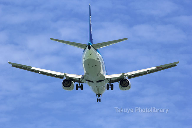 全日空　ボーイング 737-500型機　JA356K