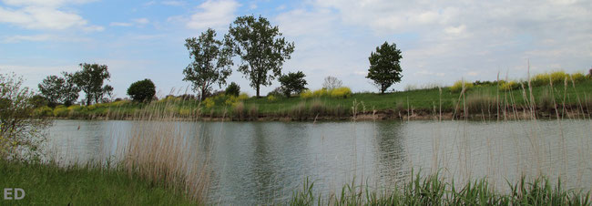 photo d'un paysage du marais poitevin prise par Elisabeth Deschene