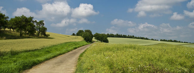paysage de campagne pour blog agricole, création et animation site internet e-cime