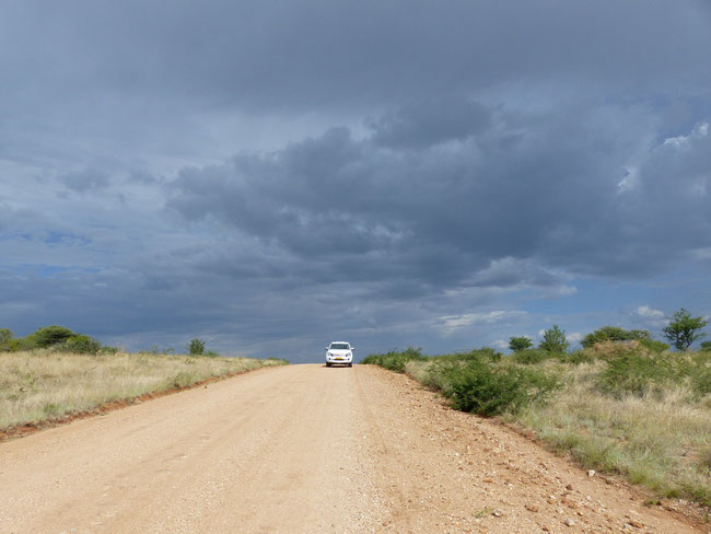 Auf dem Weg zurück von den Geparden. Ob wir heute Abend wieder Regen bekommen? Unser neuer Ford Ranger (34.000 km jung) hat sich bestens bewährt (toi toi toi). 