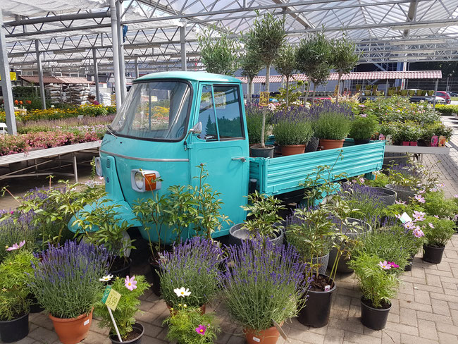 willkommen bei fleur garten fleur garten
