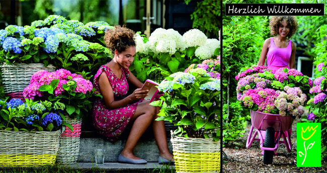 Willkommen bei Fleur Garten Fleur Garten