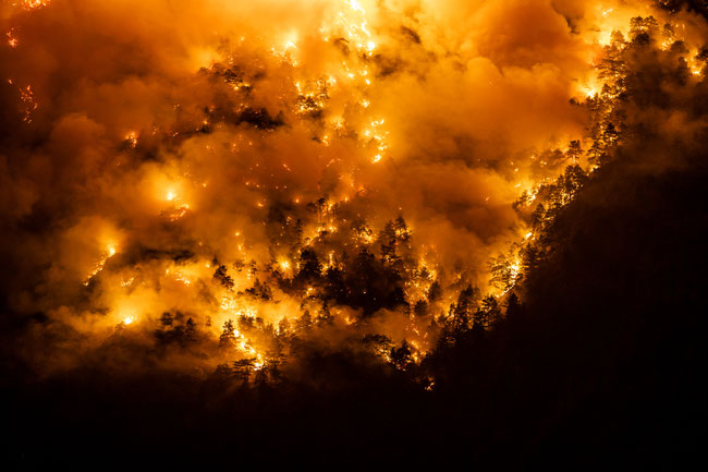 Waldbrand Latscher Sonnenberg
