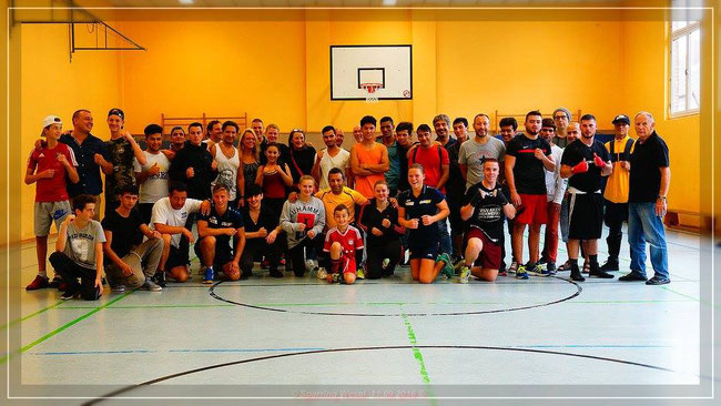 Training mit holländischen und deutschen Boxern September 2016