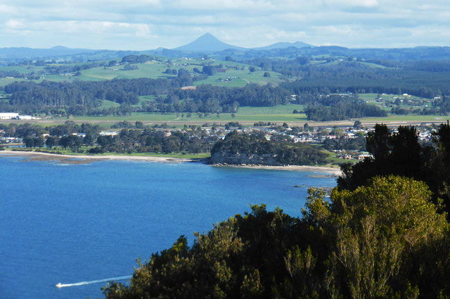 Fossil Bluff and Wynyard 