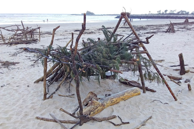 A beach-debris shelter