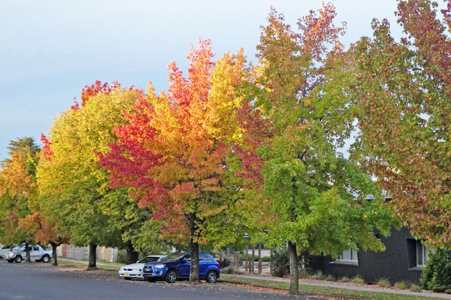gradations of colour on an Orange street