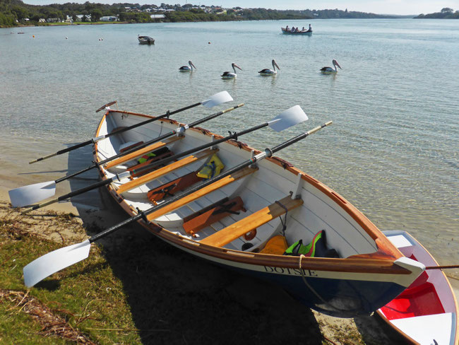‘Dotise’ up on the beach, with pelicans