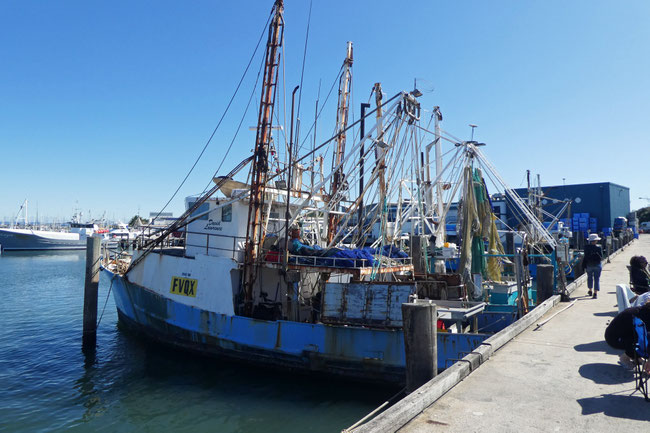Mooloolah River commercial fishing boats