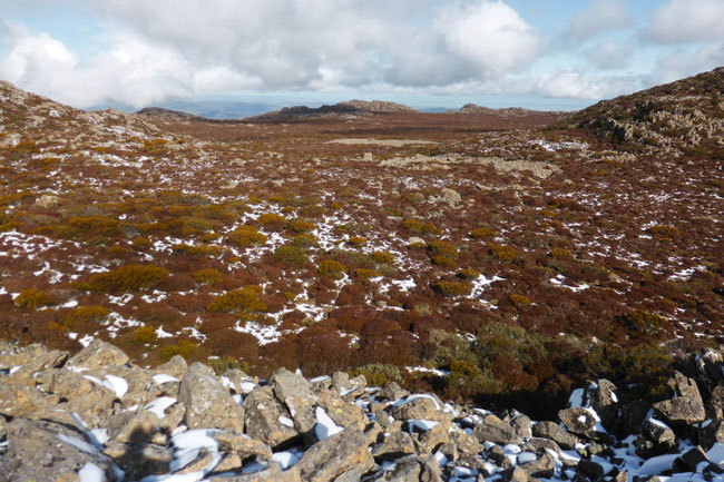 The trackless alpine plateau