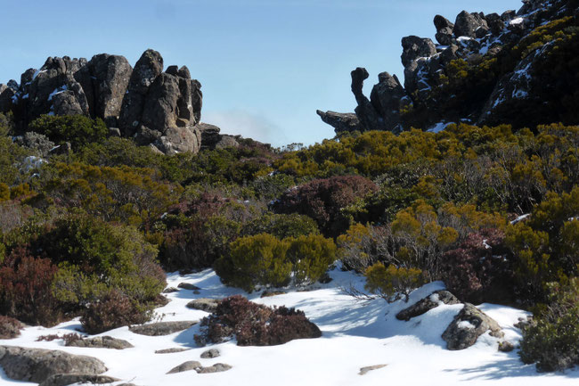 Rock formations, vegetation, and snow on the Mount Barrow plateau