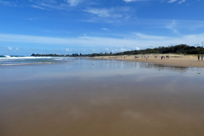 Ballinger Beach