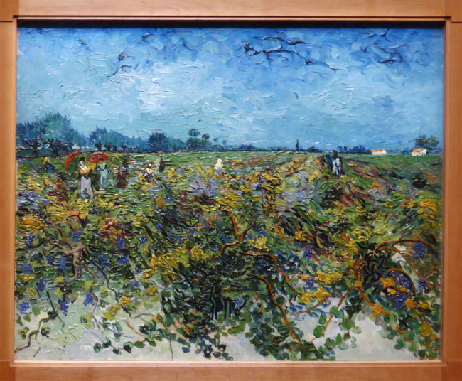 The Green Vineyard