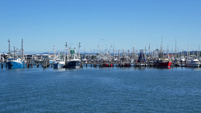 Mooloolah River commercial fishing boats