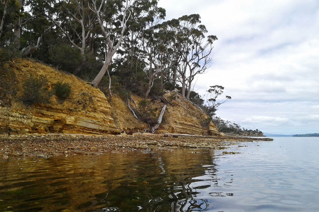 Sandstone cliffs east of Fossil Beach