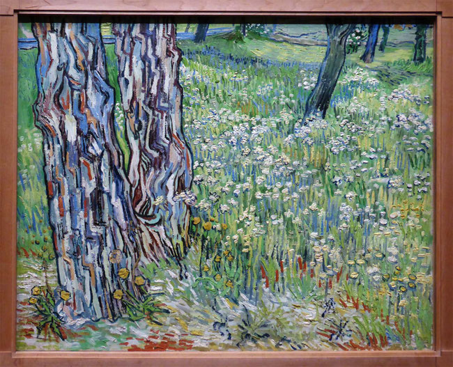 Tree Trunks in the Grass