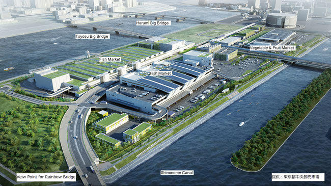 Bird's-eye view image of Toyosu Market