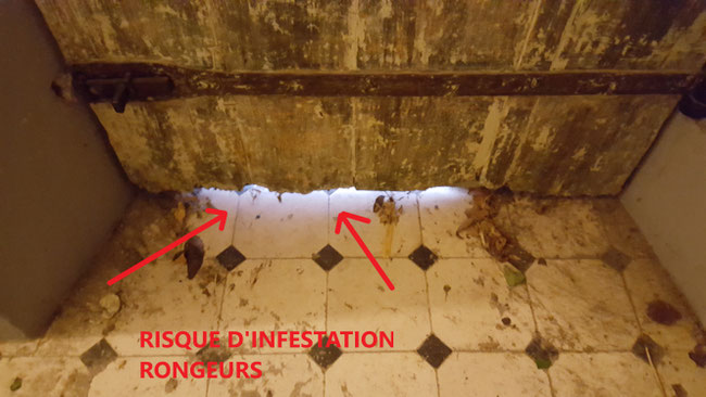 trous dans la porte est égal à probléme de rat et souris