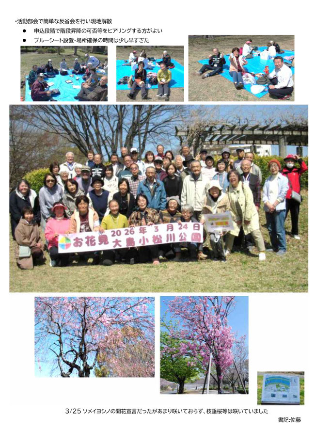 お花見報告書