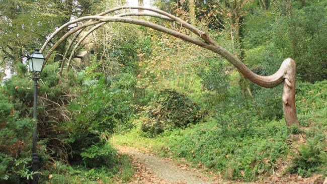 Pena Park