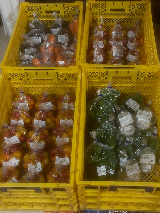キャンプ場を併設した有機無農薬野菜の観光農園