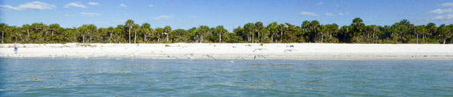 Bild: Barefoot Beach, Bonita Springs in Florida