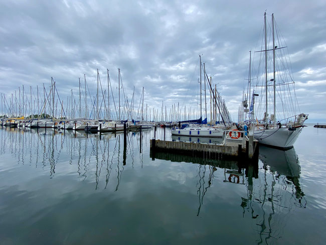 Bild: Masten der Yachten von Maasholm