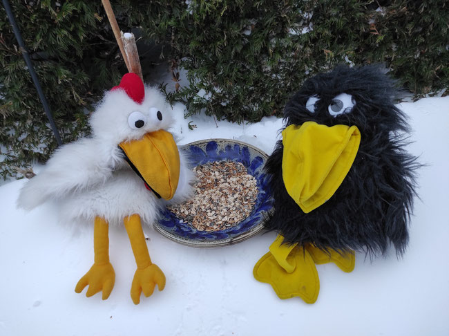 Rocco und Hilde helfen den hungernden Vögeln.