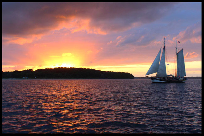 Pegasus segeln Kieler Woche Sunset Kieler Förde