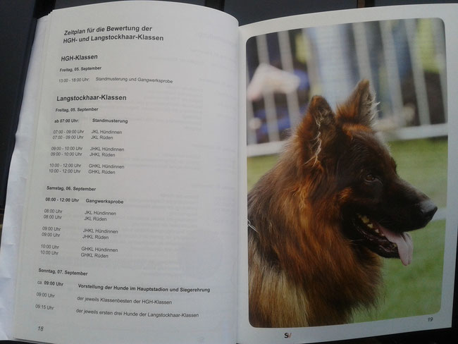 Pedro hat ins Katalog der BSZS 2014 geschafft! Mama, Papa stolz