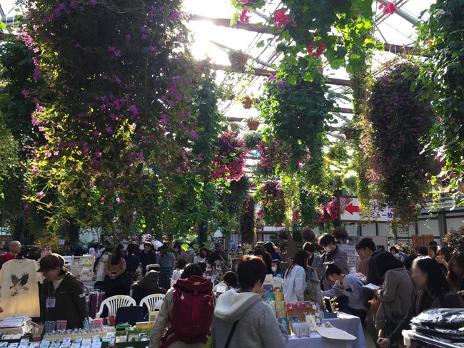 掛川花鳥園 ことり万博 Tomodesign ページ 掛川花鳥園 ことり万博 Tomodesign ページ
