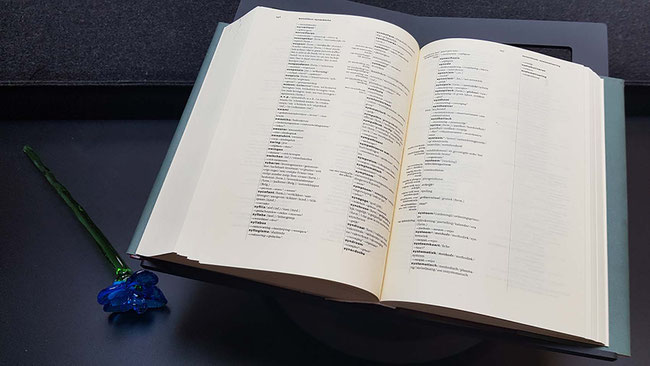 open geslagen woordenboek