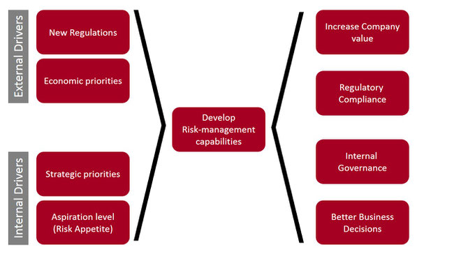 SEED Advisory Risk Management Capabilities Development