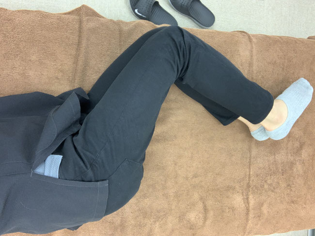 上から見るとこんな感じ