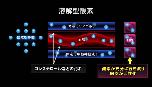 酸素カプセル - 鍼灸スポーツ整体アスイク【尼崎(塚口・武庫之荘)伊丹