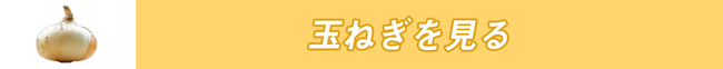 小田原産玉ねぎを見る