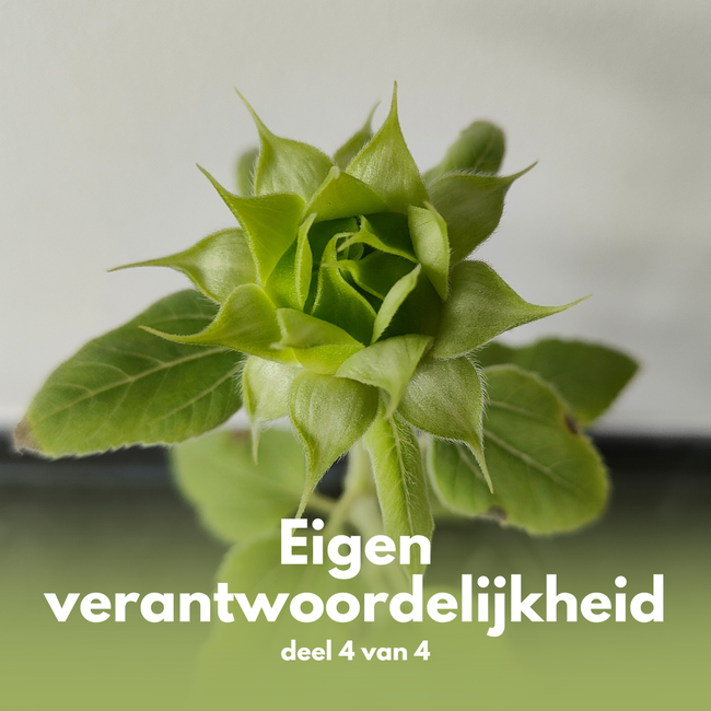 Visualisatie opstelling deel 4, Eigen verantwoordelijkheid