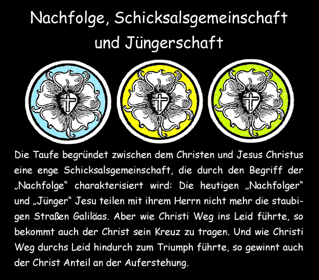 Nachfolge, Schicksalsgemeinschaft und Jüngerschaft