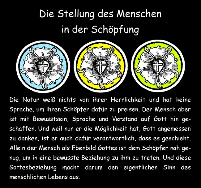 Die Stellung des Menschen in der Schöpfung