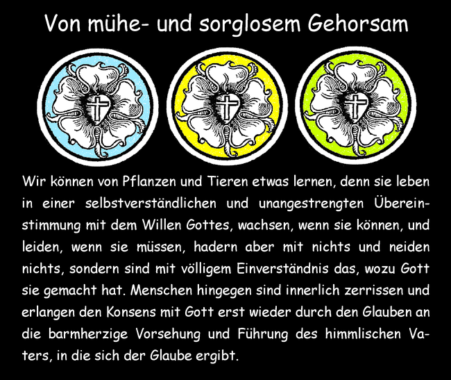 Von mühe- und sorglosem Gehorsam