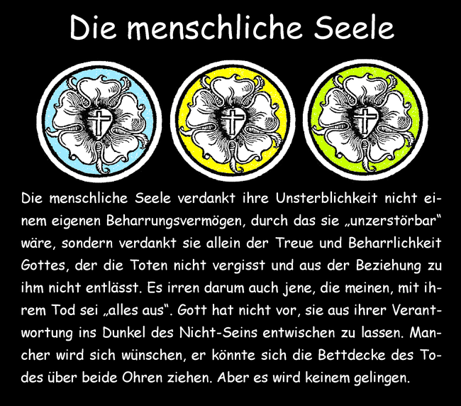 Die menschliche Seele