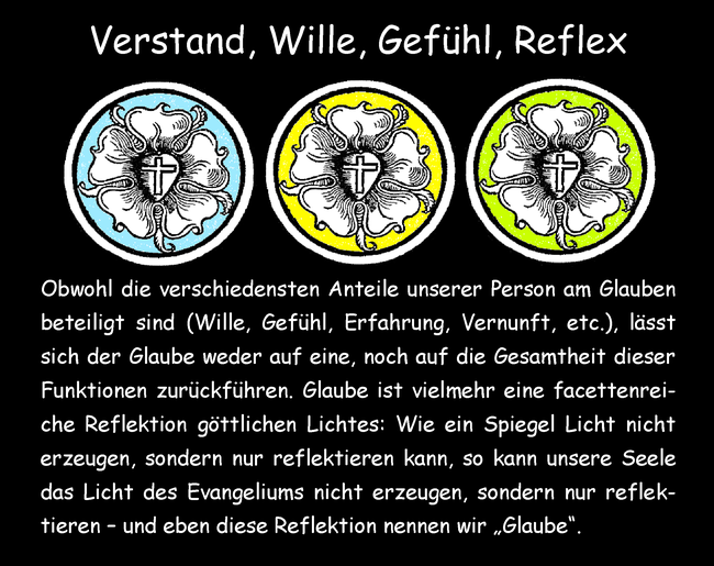 Verstand, Wille, Gefühl, Reflex