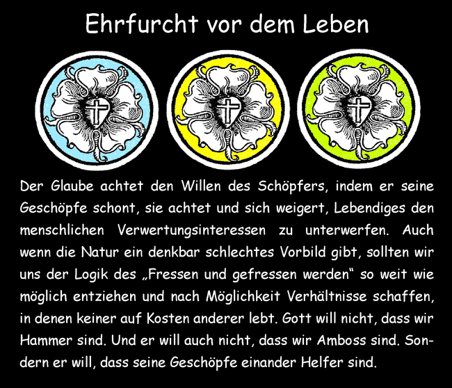 Ehrfurcht vor dem Leben