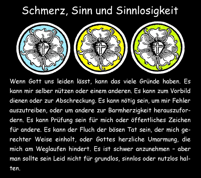 Schmerz, Sinn und Sinnlosigkeit