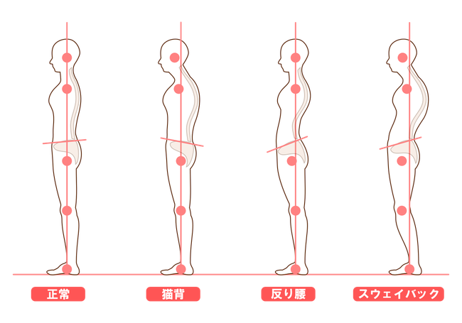 骨盤調整 ダイエット ストレッチ 姿勢改善 | 船橋市北習志野エリアの出張パーソナルトレーニング 