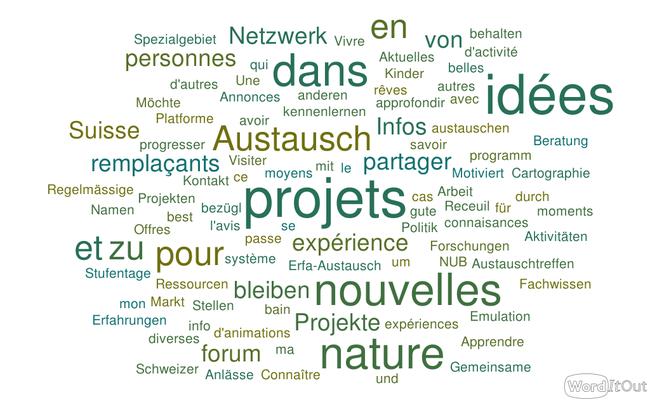 Bild: Wordle, was sich die Alumni bei der Gründungsversammlung gewünscht haben