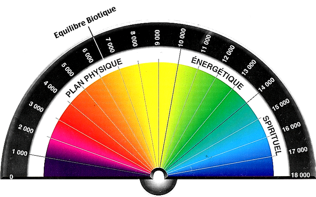 taux vibratoire selon Bovis