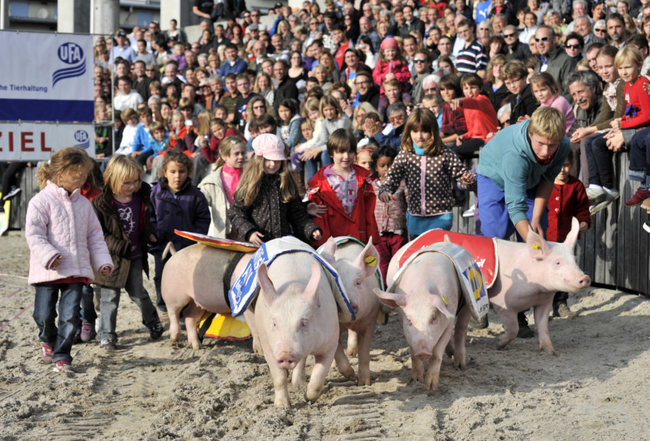 Bilder: www.olmapedia.ch abgerufen am 20.10.2017