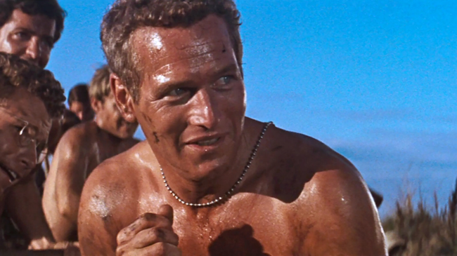 Paul Newman in Cool Hand Luke