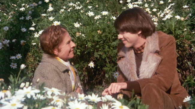 Ruth Gordon & Bud Cort in Harold & Maude